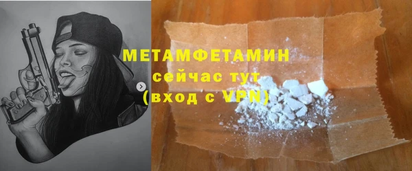 ПСИЛОЦИБИНОВЫЕ ГРИБЫ Вяземский