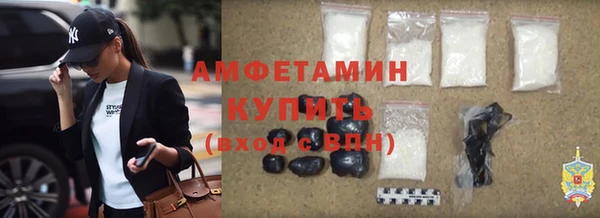 ПСИЛОЦИБИНОВЫЕ ГРИБЫ Вяземский
