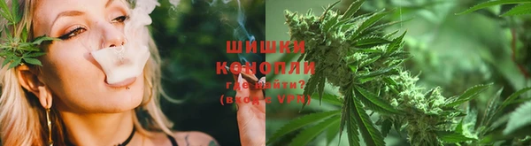 ПСИЛОЦИБИНОВЫЕ ГРИБЫ Вяземский