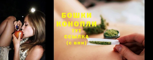 ПСИЛОЦИБИНОВЫЕ ГРИБЫ Вяземский