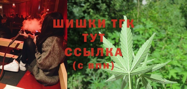 ПСИЛОЦИБИНОВЫЕ ГРИБЫ Вяземский