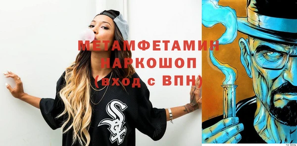 ПСИЛОЦИБИНОВЫЕ ГРИБЫ Вяземский