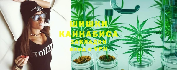 ПСИЛОЦИБИНОВЫЕ ГРИБЫ Вяземский
