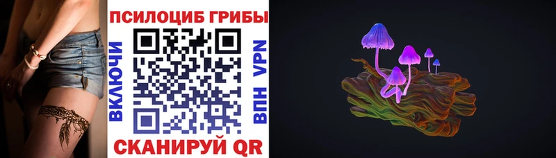 Псилоцибиновые грибы Psilocybe  Одинцово 